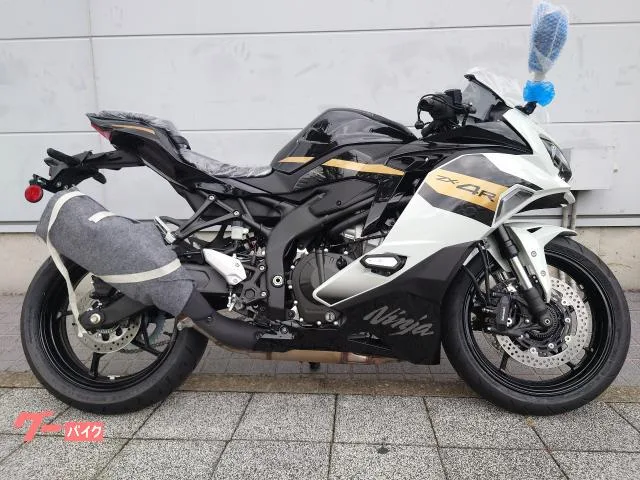 Kawasaki Ninja ZX-4R SE USB 2026 — миниатюра 3