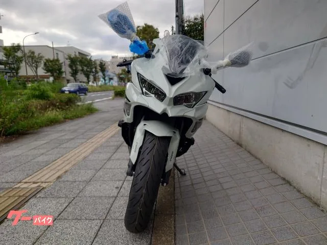 Kawasaki Ninja ZX-4R SE USB 2026 — миниатюра 4
