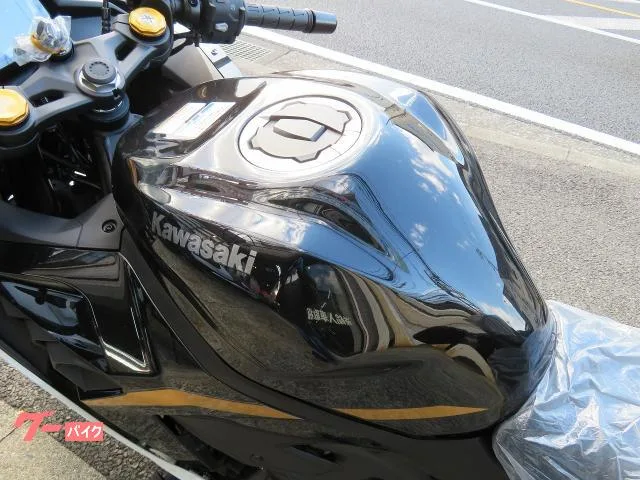 Kawasaki Ninja ZX-4R SE 2026 2026 — миниатюра 2