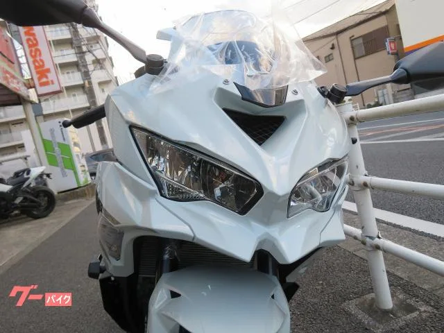 Kawasaki Ninja ZX-4R SE 2026 2026 — миниатюра 3