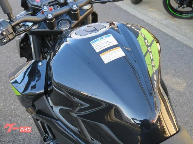 Kawasaki Z250 GIVITOP 2022 — миниатюра 2