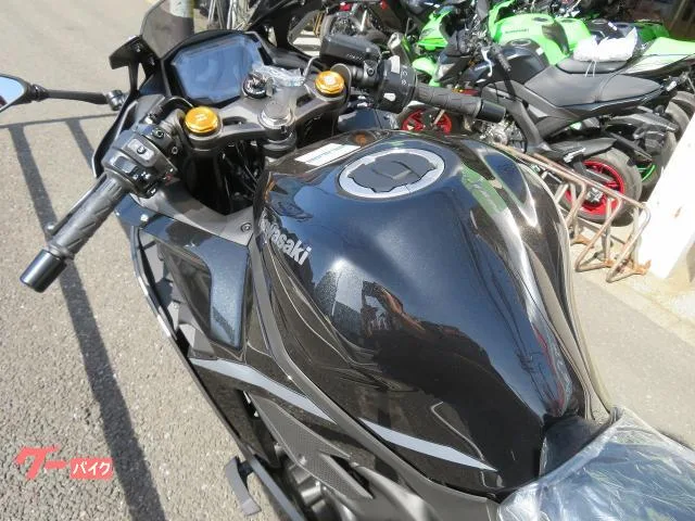 Kawasaki Ninja ZX-4R SE 2026 2026 — миниатюра 2