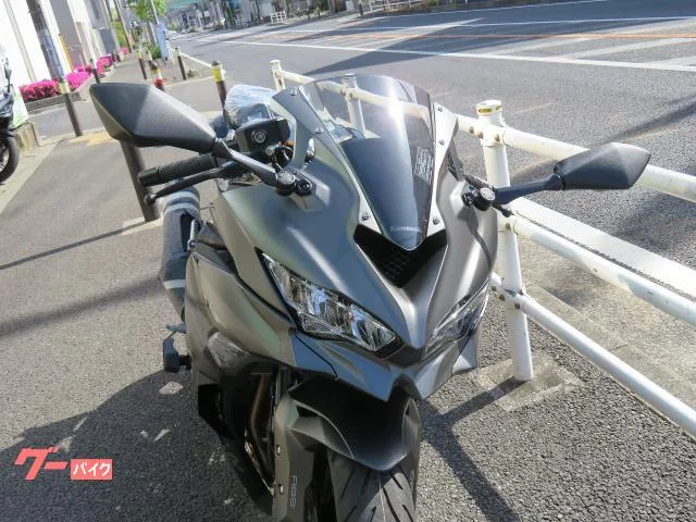 Kawasaki Ninja ZX-4R SE 2026 2026 — миниатюра 3