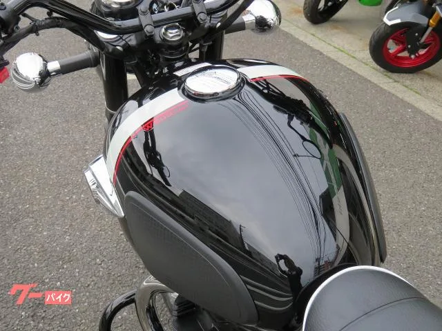 Kawasaki W800 EG 2022 — миниатюра 2