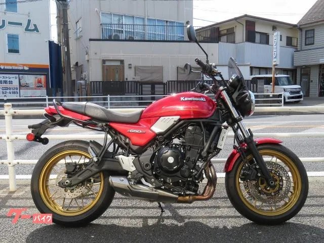 Kawasaki Z650RS USB 2024 — фото 1, купить с доставкой в Москву