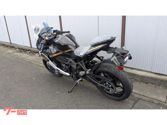 Kawasaki Ninja ZX-4R SE 2025 — миниатюра 2