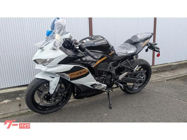 Kawasaki Ninja ZX-4R SE 2025 — миниатюра 3