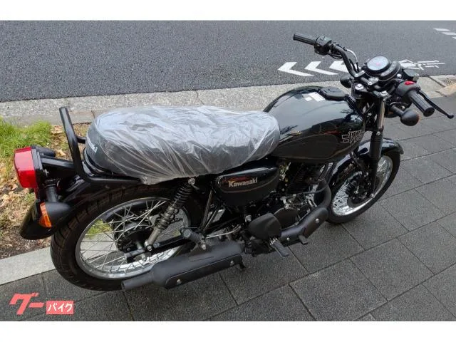 Kawasaki W175 ABS 2024 CDI 3 2024 — миниатюра 4