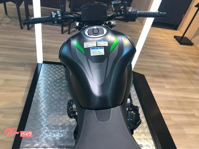 Kawasaki Z900 SE ETC2.0 USBC 2026 — миниатюра 5