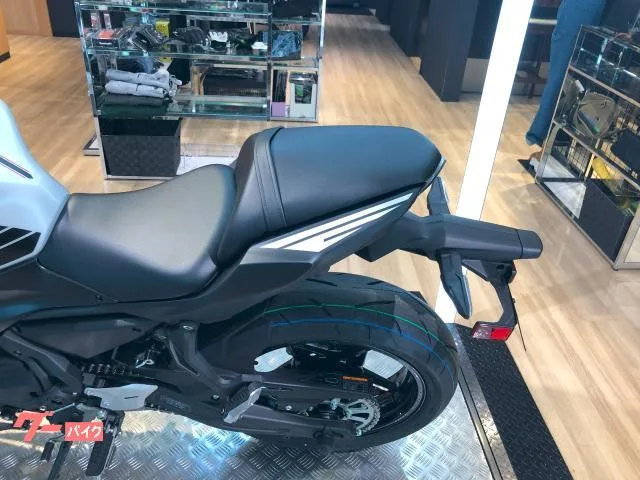 Kawasaki Ninja 650 ETC ABS 2026 — миниатюра 4