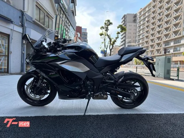 Kawasaki Ninja 1000 SX ETC2.0 2024 — миниатюра 2