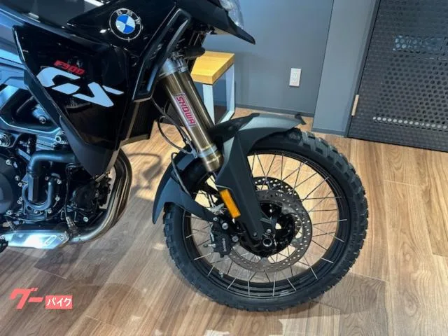 BMW F900GS 2025 2025 — миниатюра 5
