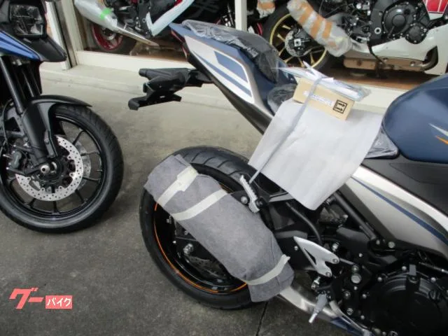 Kawasaki Ninja 250 2023 — миниатюра 3