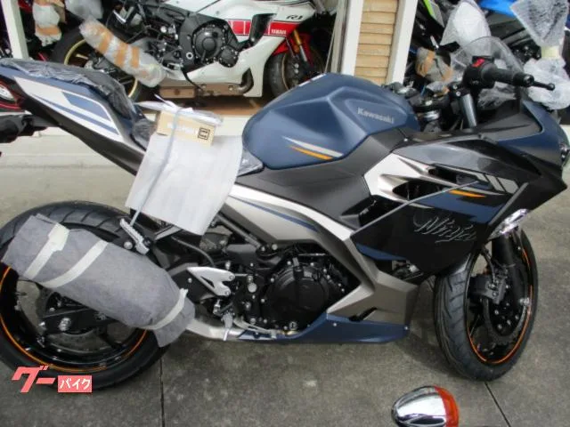 Kawasaki Ninja 250 2023 — фото 1, купить с доставкой в Москву