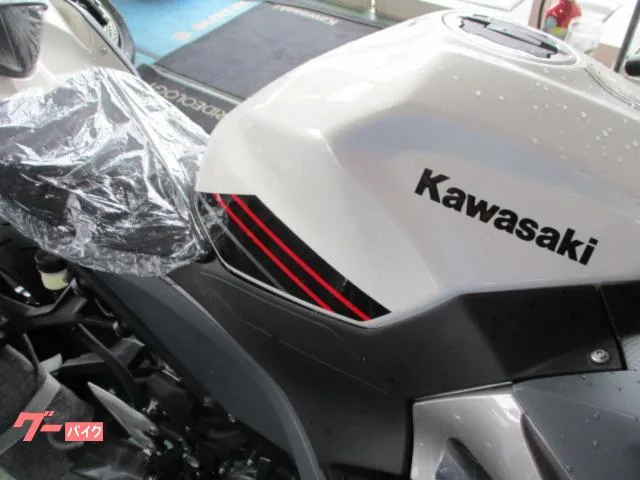 Kawasaki Ninja 400 2024 2024 — миниатюра 3