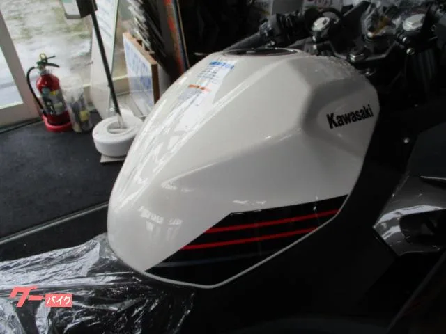 Kawasaki Ninja 400 2024 2024 — миниатюра 4