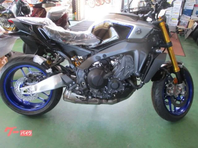 Yamaha MT-09SP 2024 2024 — фото 1, купить с доставкой в Москву