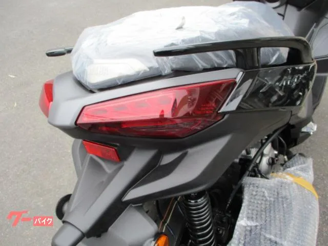 Yamaha X-MAX2502025 2025 — миниатюра 3