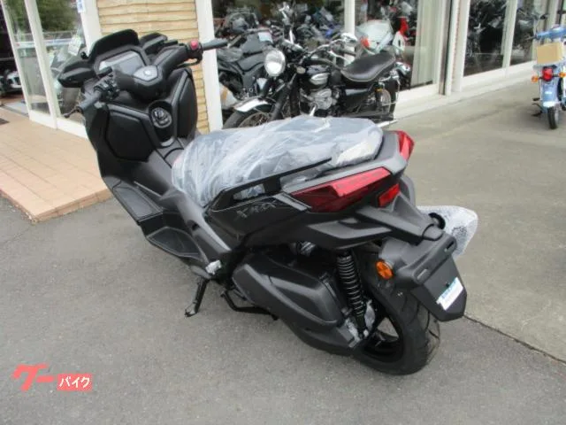 Yamaha X-MAX2502025 2025 — миниатюра 4