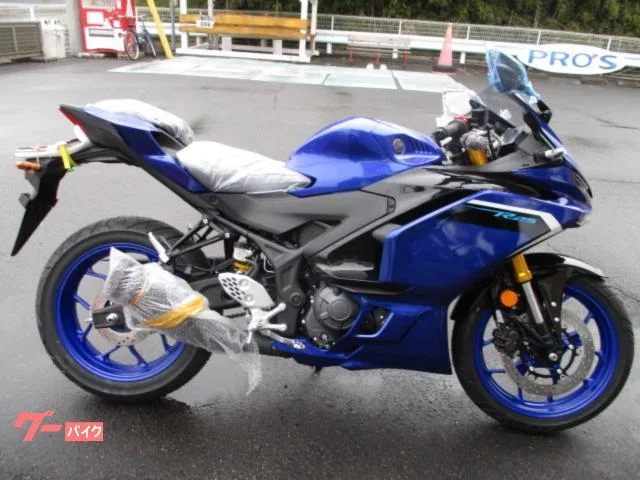 Yamaha YZF-R25 2025 2025 — фото 1, купить с доставкой в Москву