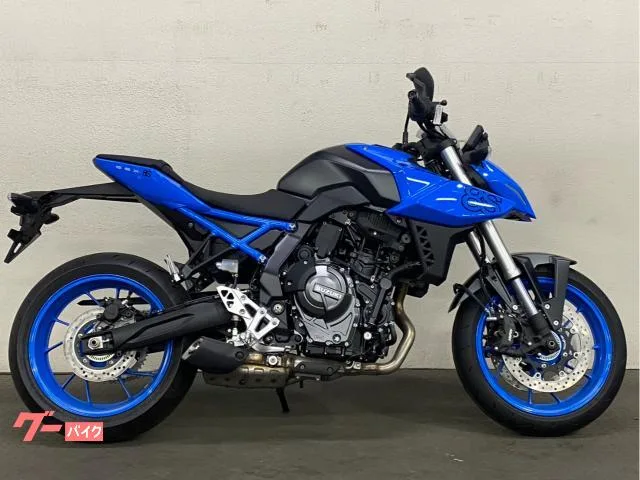 Suzuki GSX-8S 2023 — фото 1, купить с доставкой в Москву