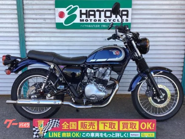 Kawasaki W230 2025 — фото 1, купить с доставкой в Москву