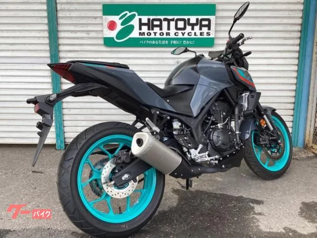 Yamaha MT-25 ETC 2022 — миниатюра 4