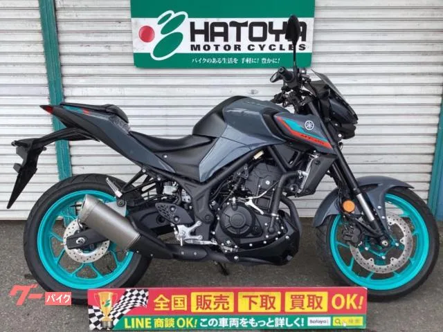 Yamaha MT-25 ETC 2022 — фото 1, купить с доставкой в Москву