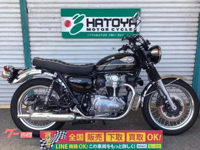Kawasaki W800 ETC 2025 — фото 1, купить с доставкой в Москву