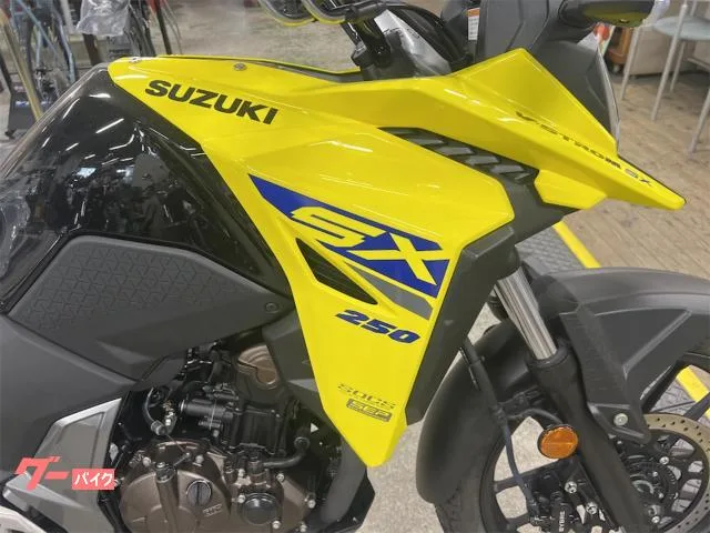 Suzuki V- 250SX ETC 2025 — миниатюра 2