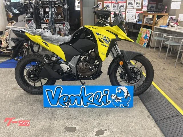 Suzuki V- 250SX ETC 2025 — фото 1, купить с доставкой в Москву