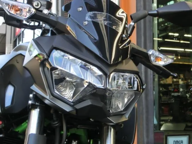 Kawasaki Z250 2024 2024 — миниатюра 2