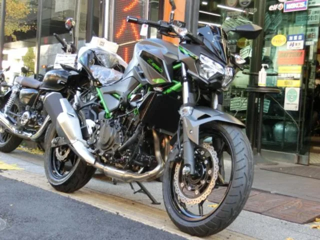 Kawasaki Z250 2024 2024 — фото 1, купить с доставкой в Москву
