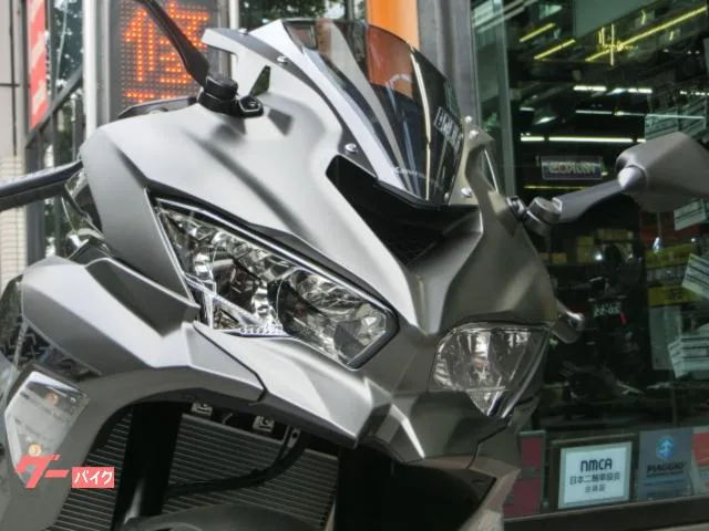 Kawasaki Ninja ZX-4R SE 2026 2026 — миниатюра 2