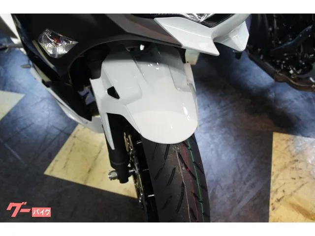 Kawasaki Ninja 400 2026 — миниатюра 3