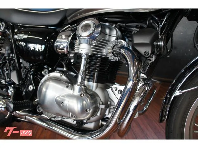 Kawasaki W800 G USBA2 2024 — миниатюра 4