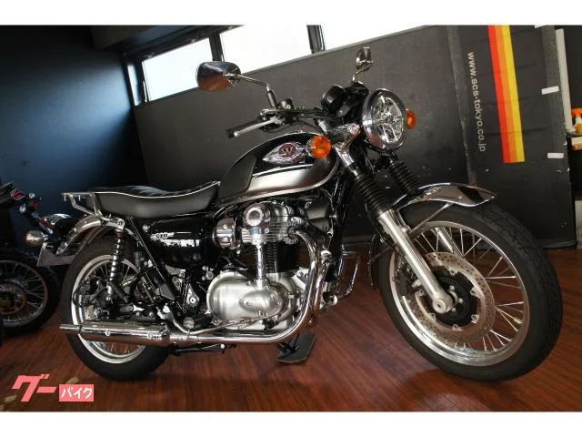 Kawasaki W800 G USBA2 2024 — фото 1, купить с доставкой в Москву