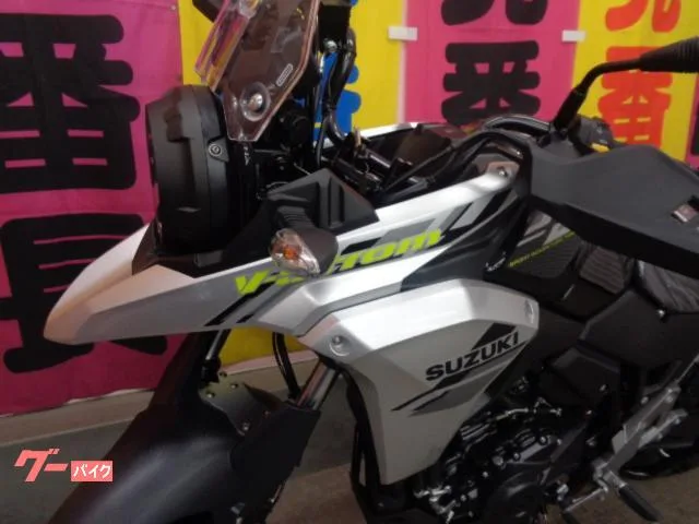 Suzuki V- 250 2024 — миниатюра 2