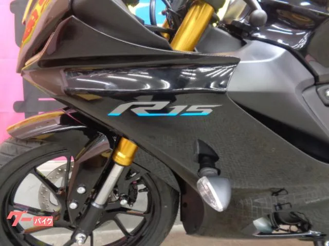 Yamaha YZF-R15 2023 — миниатюра 2