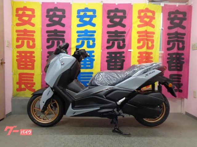 Yamaha X-MAX2502025 2025 — фото 1, купить с доставкой в Москву