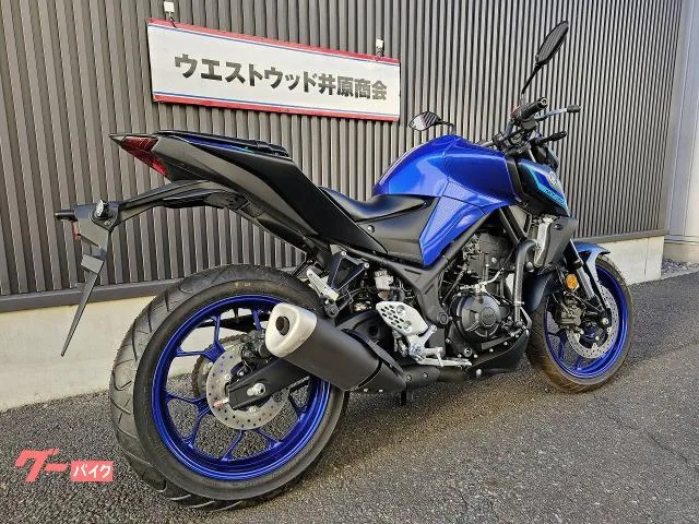 Yamaha MT-25 2022 2022 — миниатюра 3