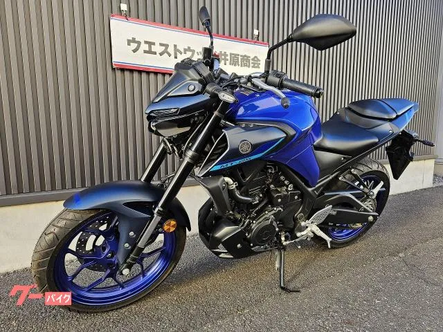 Yamaha MT-25 2022 2022 — миниатюра 5