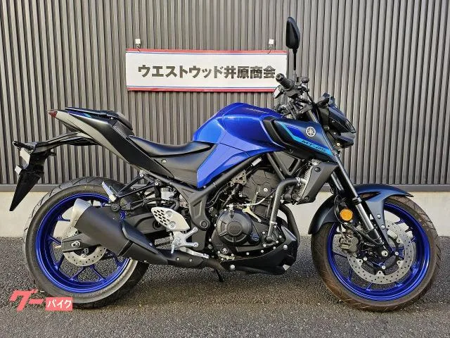 Yamaha MT-25 2022 2022 — фото 1, купить с доставкой в Москву