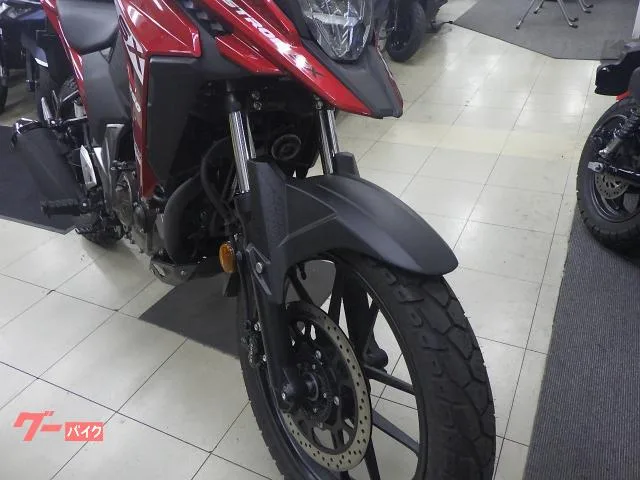 Suzuki V- 250SX 2024 — миниатюра 3