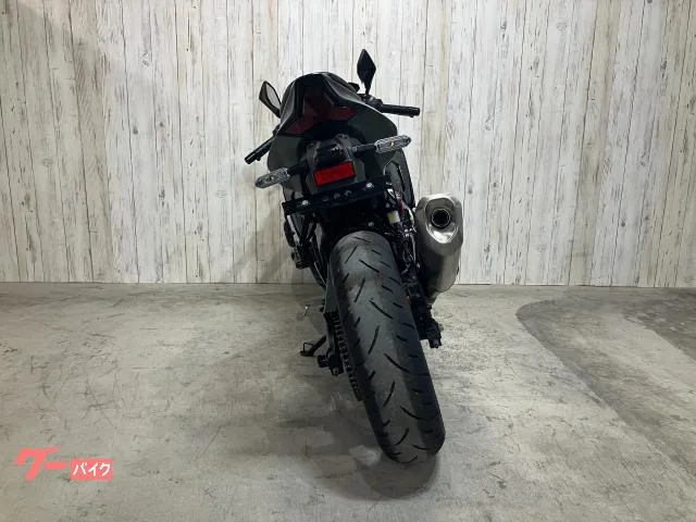 Kawasaki Ninja ZX-4R SE 2025 — миниатюра 2
