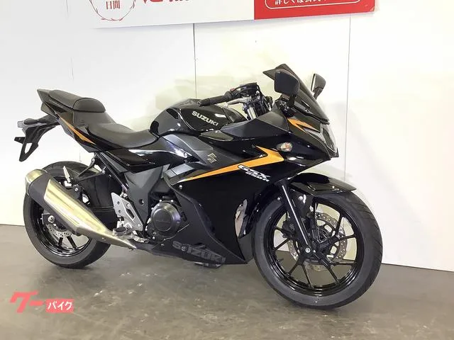 Suzuki GSX250R 2024 2024 — миниатюра 2