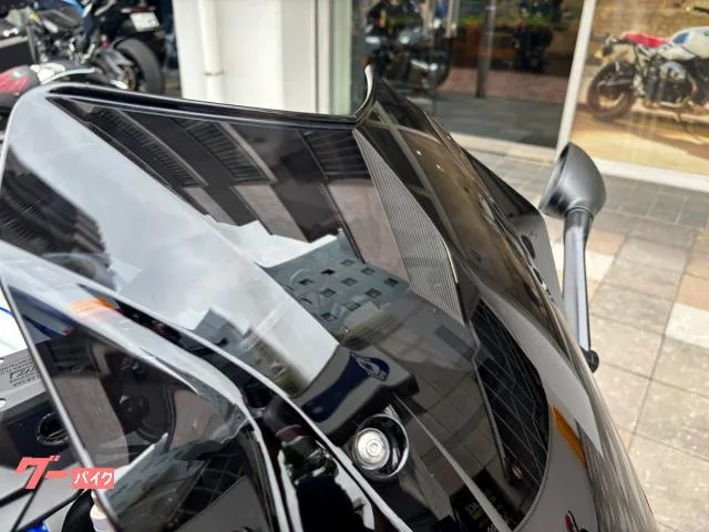 BMW R1250RS BMW 2022 — миниатюра 2