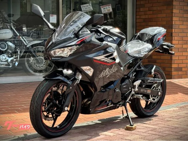 Kawasaki Ninja 400 2025 — миниатюра 3