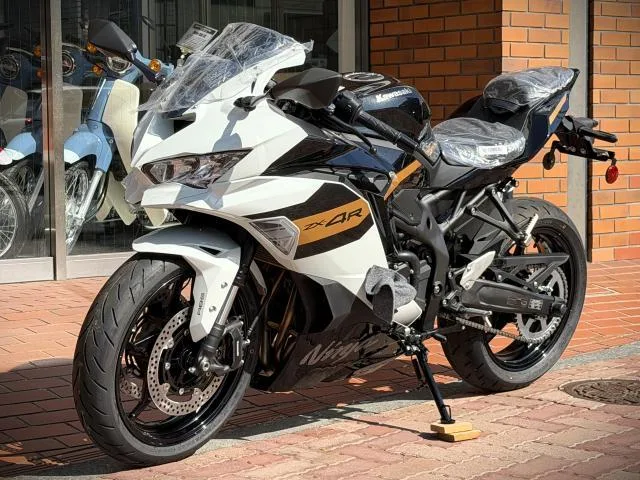 Kawasaki Ninja ZX-4R SE 26 2026 — миниатюра 3