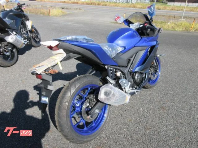 Yamaha YZF-R25 2022 — миниатюра 4
